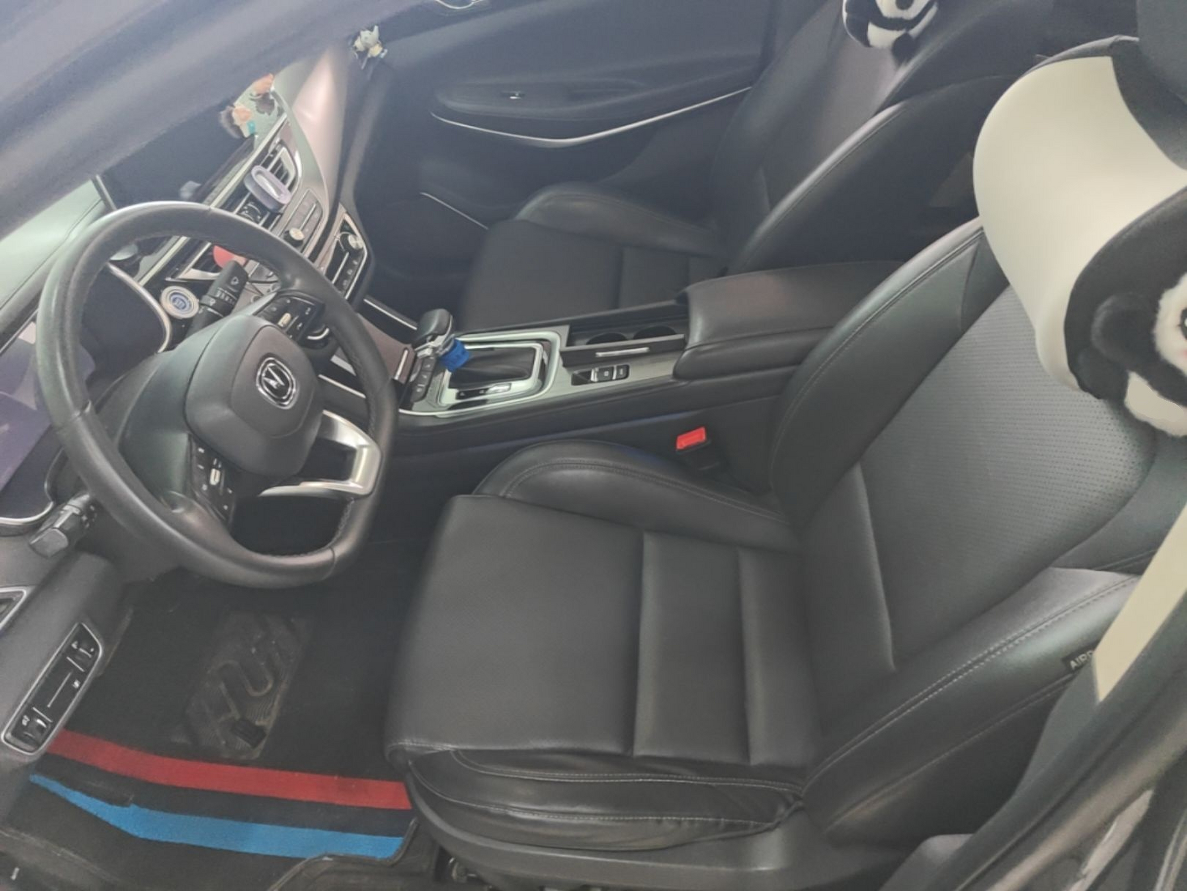 Interior delantero