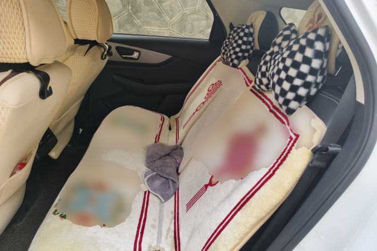 Used Dongfeng Fengon S560 2019 1.8L Manual Urban Model Left Rear Seat