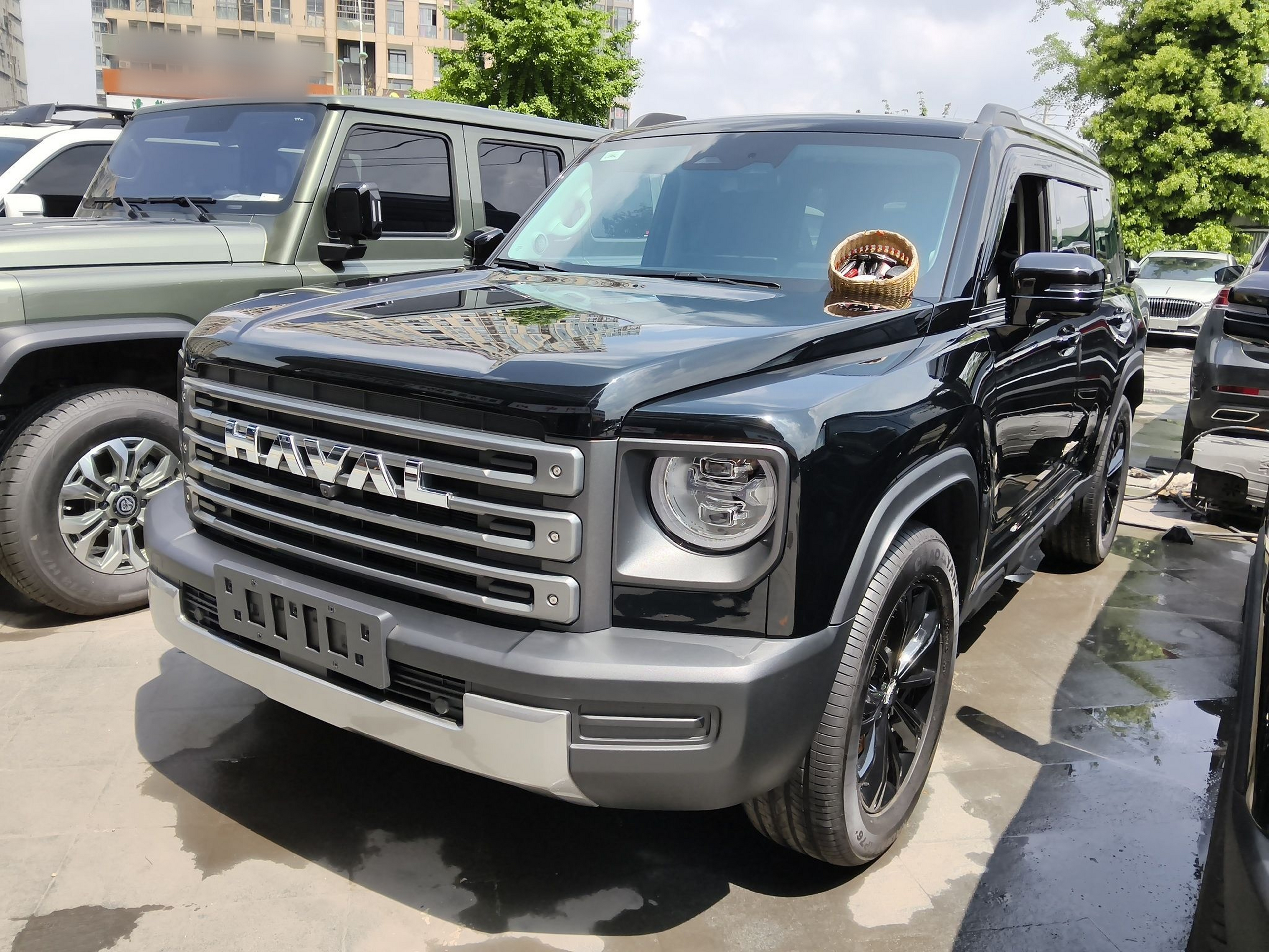 Parte inferior delantera