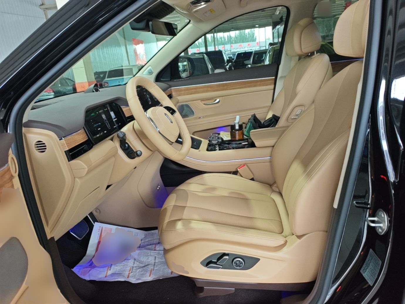 Interior delantero