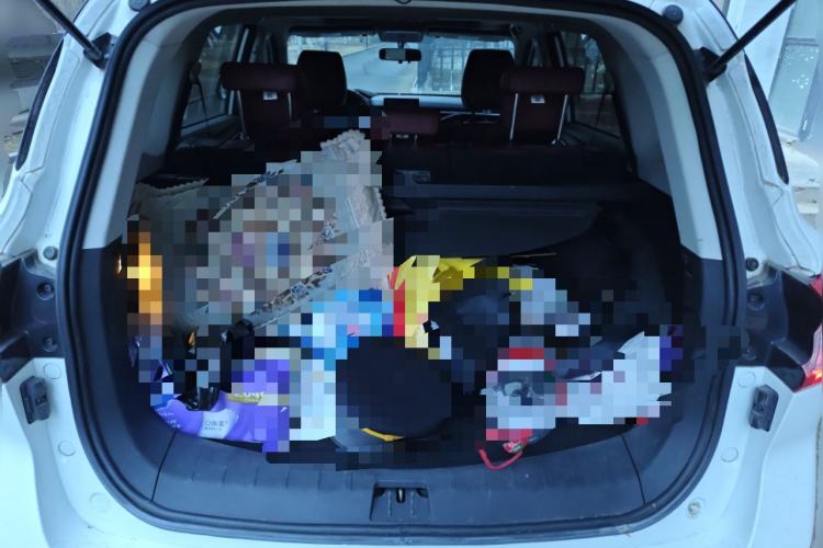 Used FORTHING T5 2020 1.5T Automatic Luxury Model China VI Standard Trunk