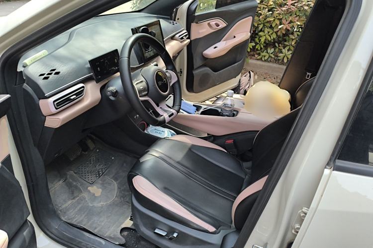 Used BYD Seagull 2025 305 km Free Version Left Front Seat