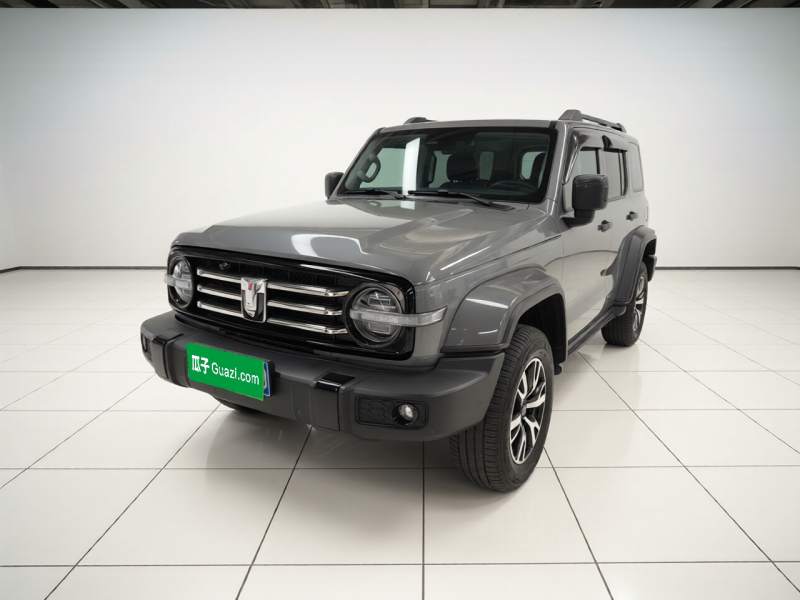 Used Tank 300 2024 2.0T Crosser