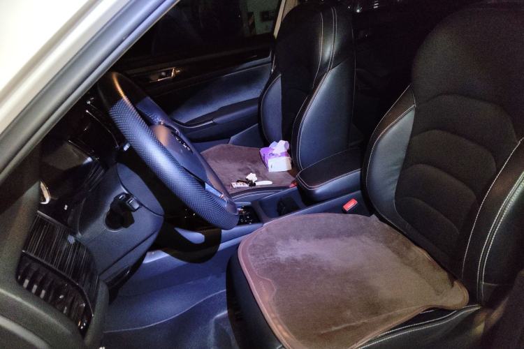 Used Skoda Kodiaq 2018 Facelifted TSI330 5-Seater Two-Wheel-Drive Luxury Enjoyment Edition
