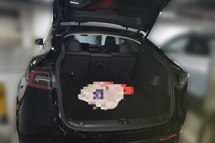 Used Tesla Model Y 2021 Standard Range Rear-Wheel Drive Version