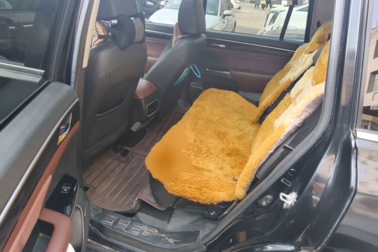 Used GAC Trumpchi GS8 2017 320T Two-Wheel Drive Luxury Smart Connectivity Version (7 Seats) Left Rear Seat