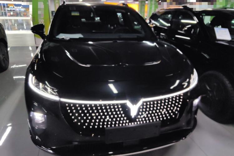 Used VOYAH COURAGE 2024 Four-Wheel Drive Global Edition