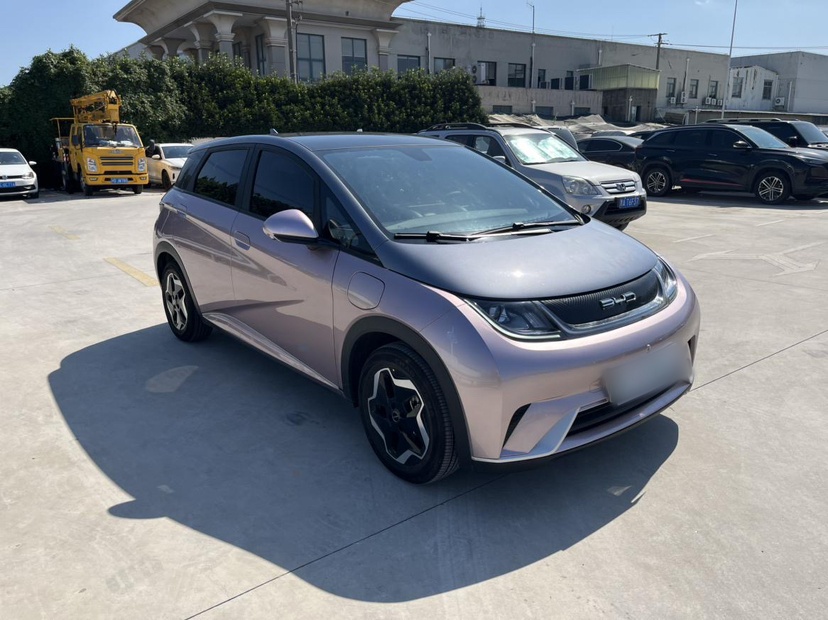 BYD Dolphin 2021 405 km Fashion Edition — снимка 18