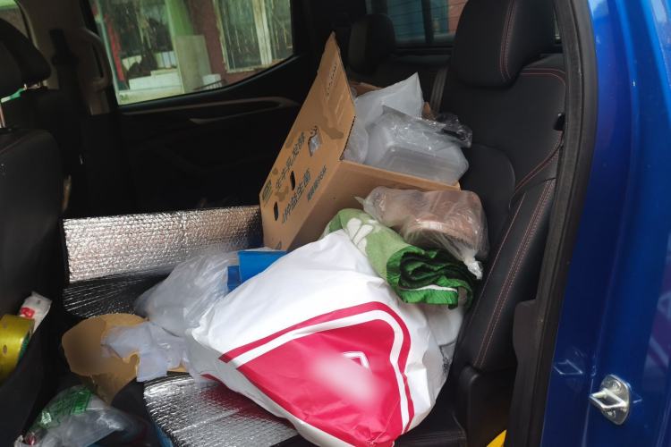 Used SAIC MAXUS T60 2017 2.0T Gasoline Automatic 4x4 High-Ride Elite Standard Cabin Left Rear Seat