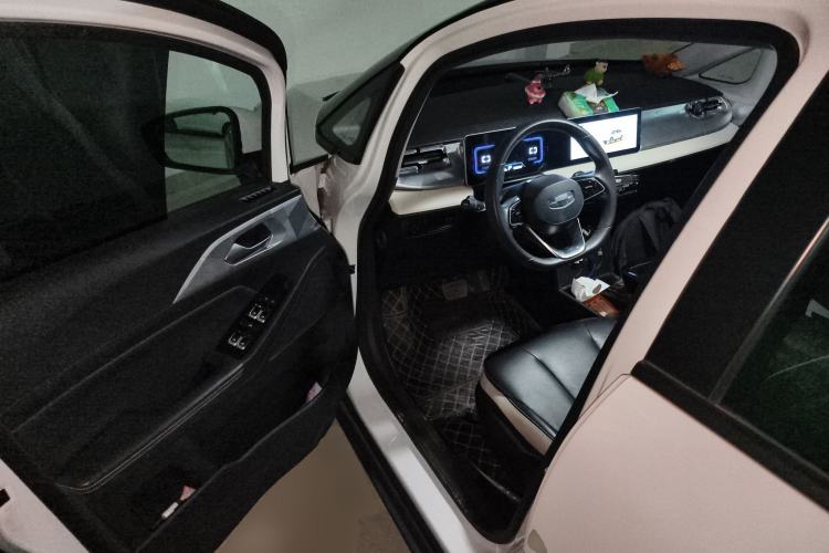 Used Geometry E Firefly 2022 401 km Linglong Tiger 4 Seats Driver Seat