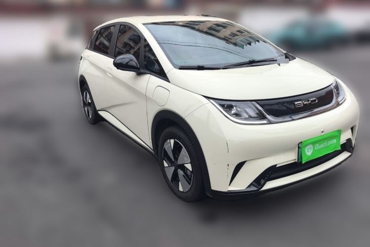 Used BYD Dolphin 2023 420 km Free Version