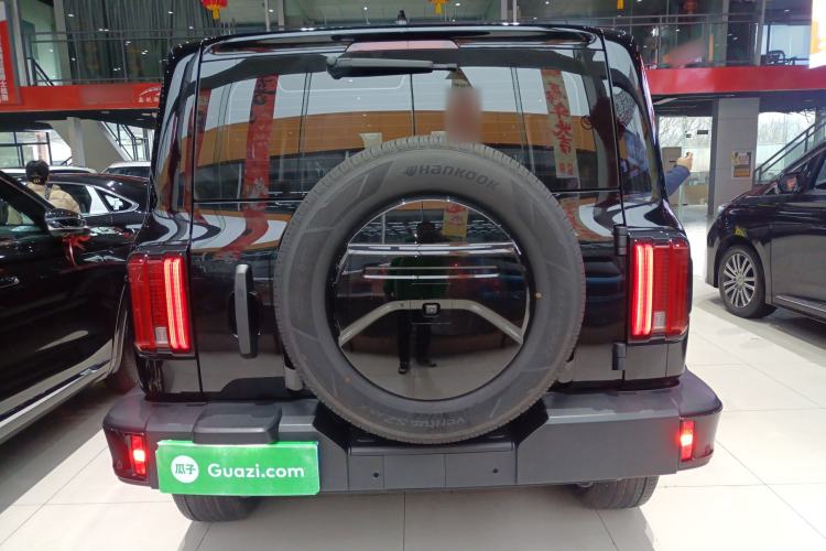 Used Tank 300 2024 2.0T Conqueror