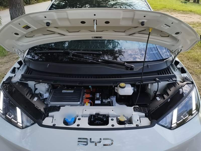 Used BYD Seagull 2025 305 km Free Version — 19