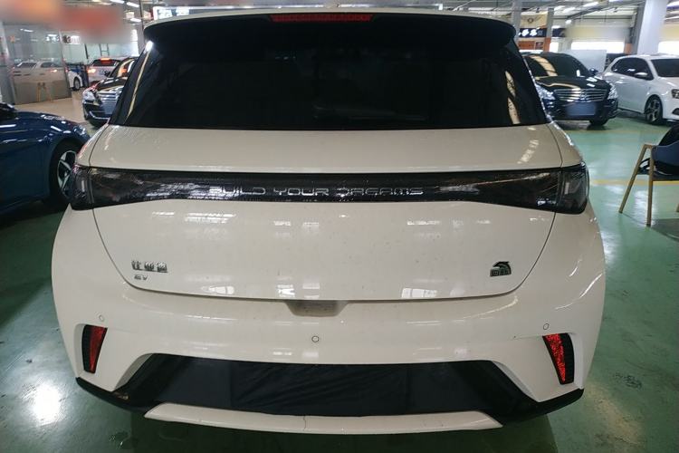 Used BYD Dolphin 2023 420 km Free Version Rear