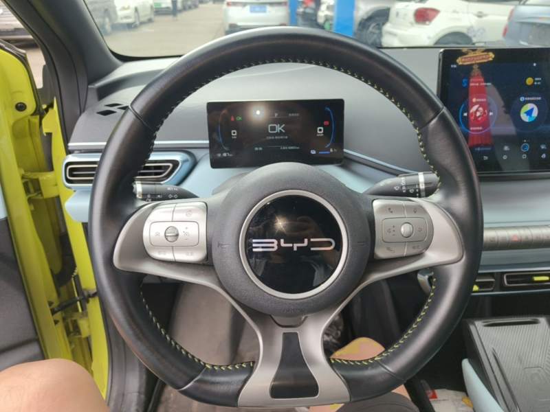 Used BYD Seagull 2023 Free Edition — 10