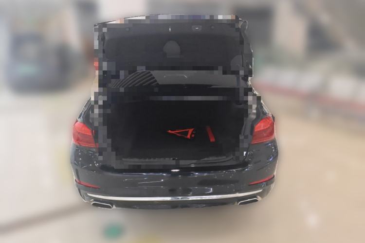 Used BMW 5 Series 2020 530Li Leading Edition Luxury Package