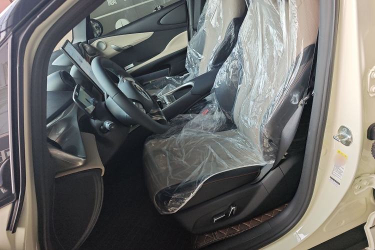 Used BYD Dolphin 2025 420km Free Edition Left Front Seat