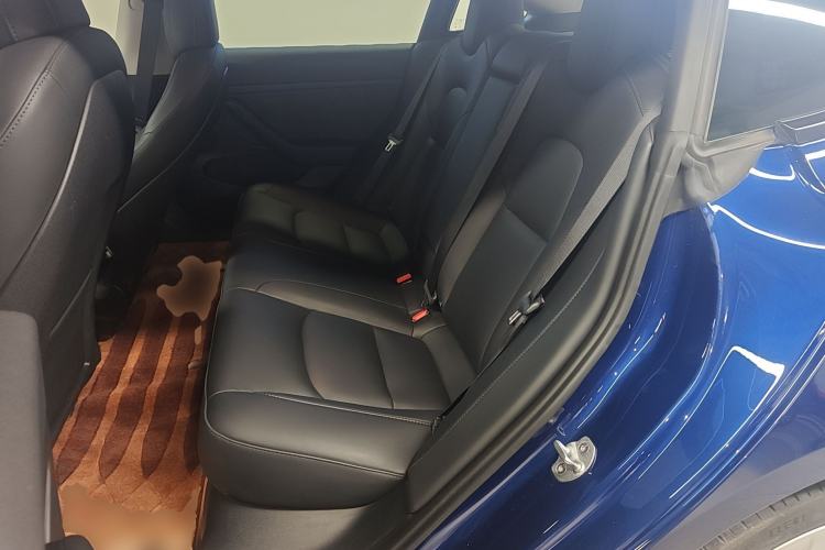 Used Tesla Model 3 2022 Rear-Wheel-Drive Version Left Rear Seat