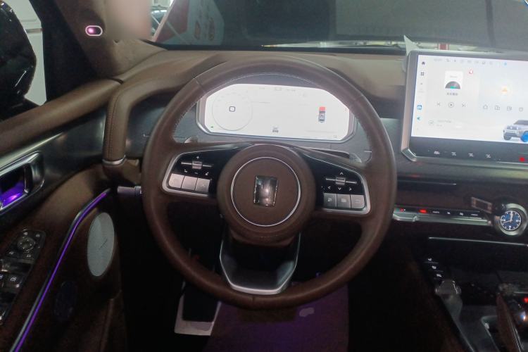 Used Tank 700 New Energy 2024 Hi4-T Extreme Edition Steering Wheel