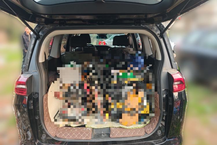 Used GAC Trumpchi M6 2023 PRO 270T DCT Luxury Edition Trunk