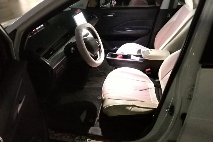 Used NETA V 2022 Chao 300 Lite Lithium Iron Phosphate