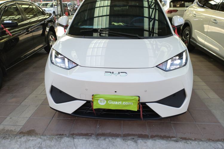 Used BYD Seagull 2025 Smart Drive Version 305 km Freedom Edition