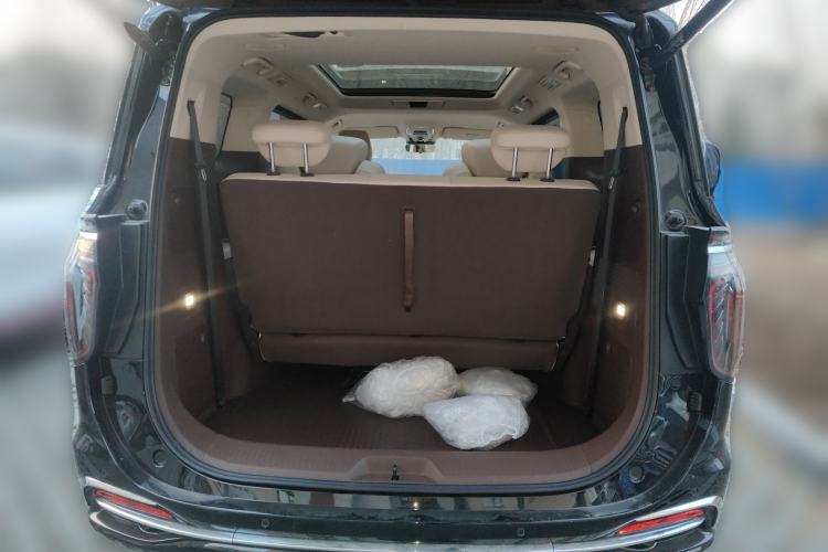 Used Hongqi HQ9 2024 2.0T Business Edition
