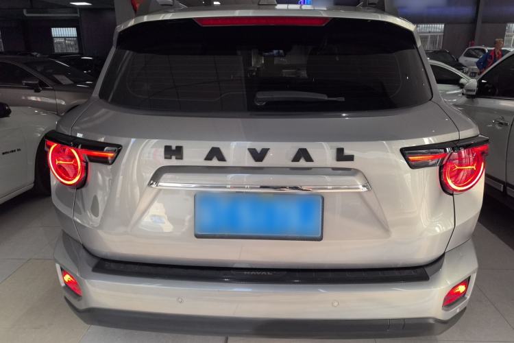 Used Haval H Dog 2023 2.0T Two-Wheel Drive Trendy Outdoor Edition