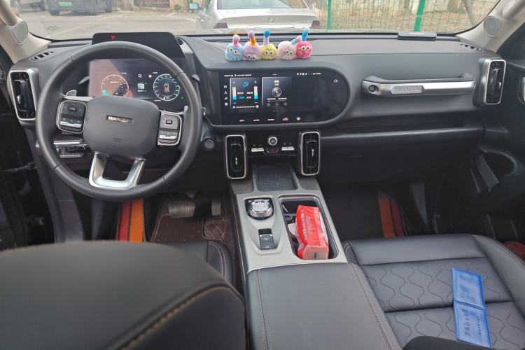 Used Haval DARGO 2024 2.0T DCT Chinese Rural Dog Edition
