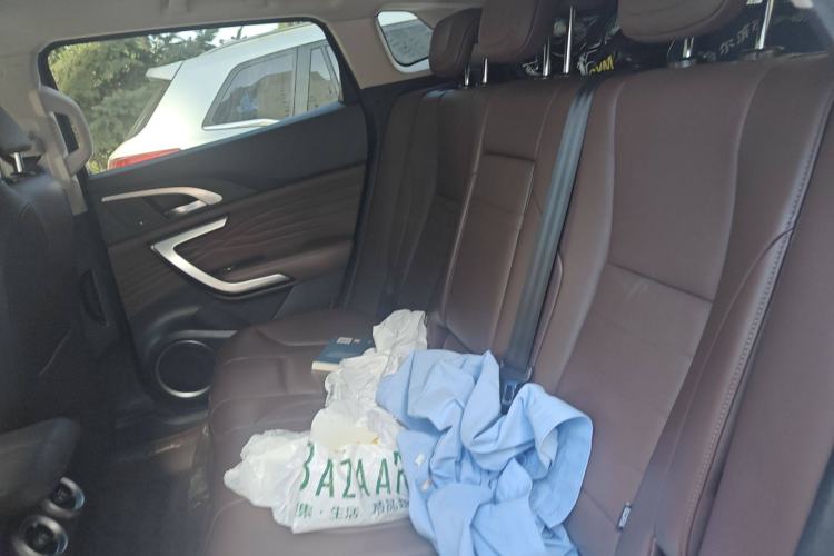 Used Wey VV7 2020 2.0T Flagship Edition Left Rear Seat