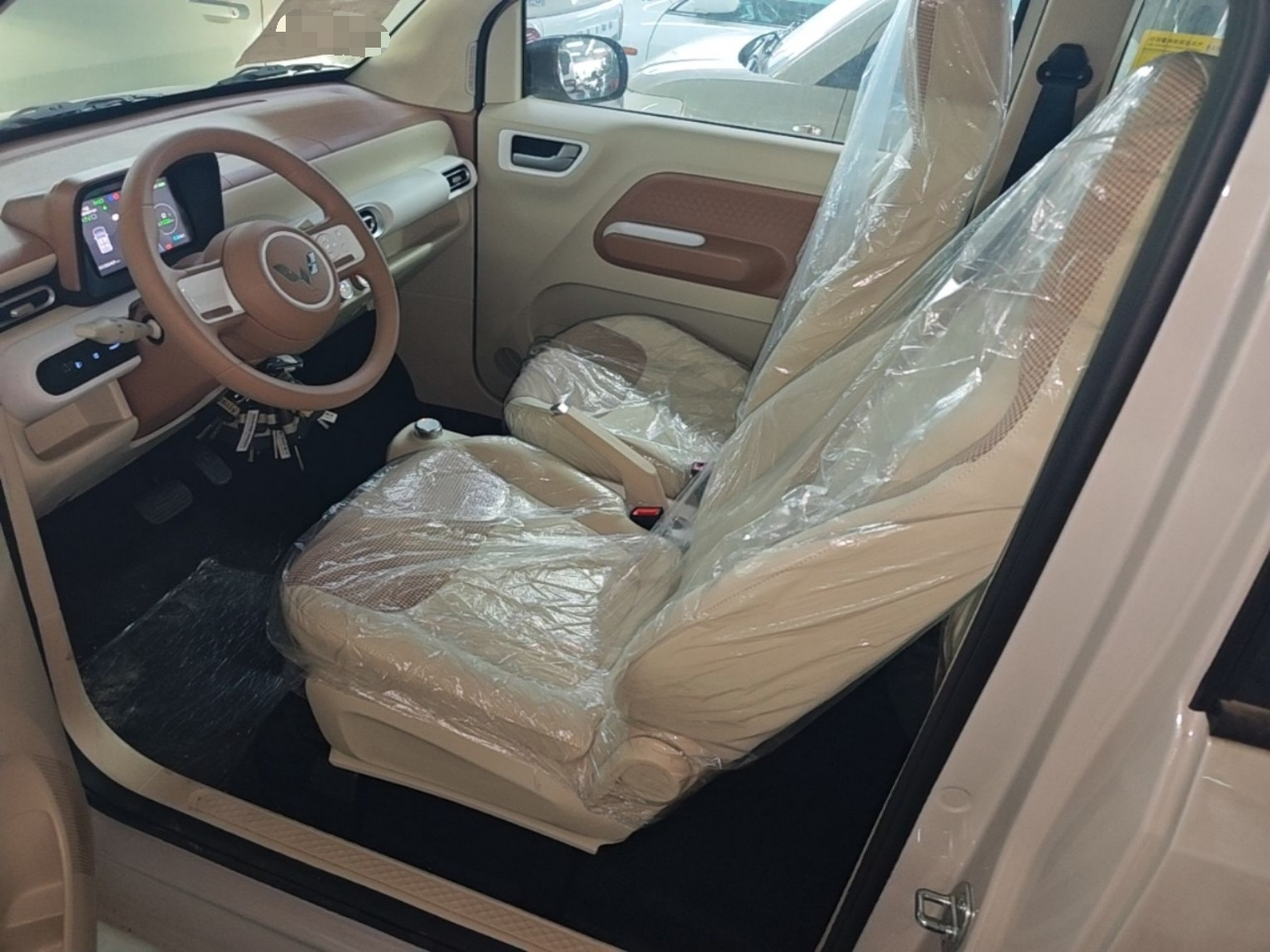 Interior delantero