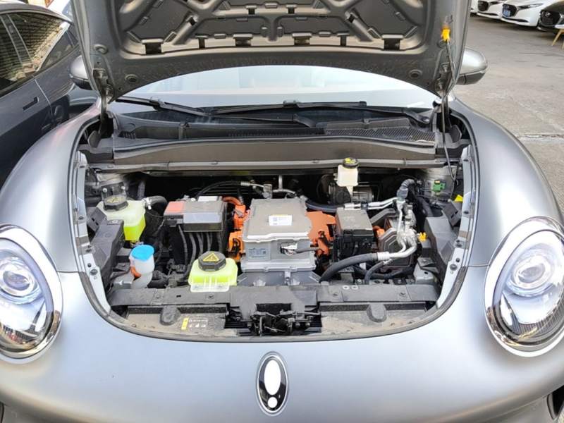 Used ORA Good Cat 2025 Model, 430 km Prestige Version — 19