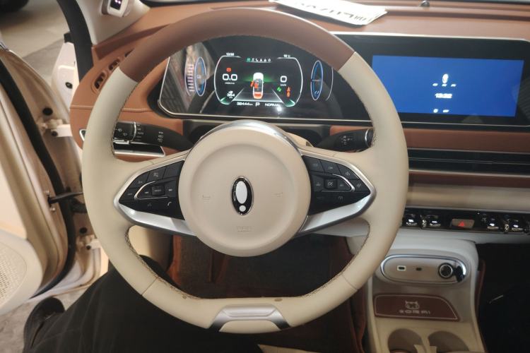 Used ORA Good Cat 2023 401 km Standard Range Premium Version Lithium Iron Phosphate
