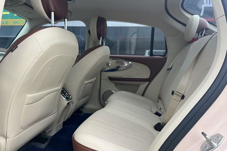 Used ORA Ballet Cat 2023 401 km Luxury Version