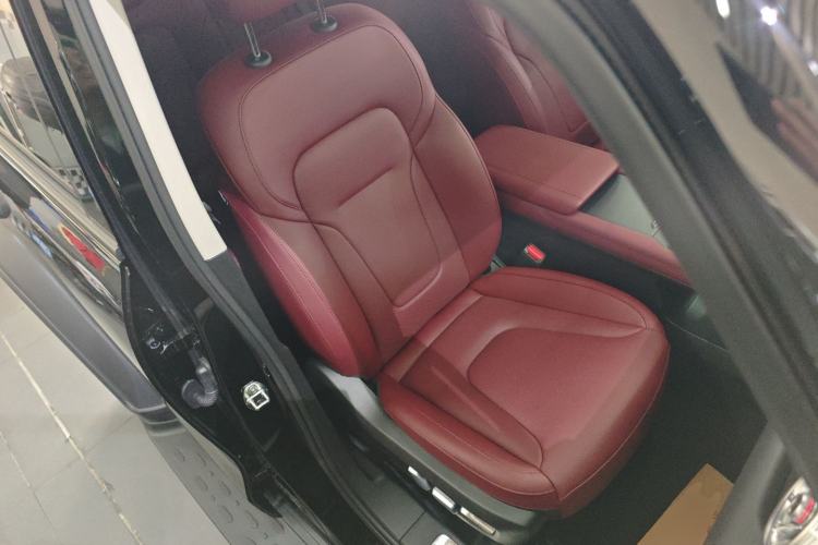 Used Tank 300 2025 2.4T Diesel Version
