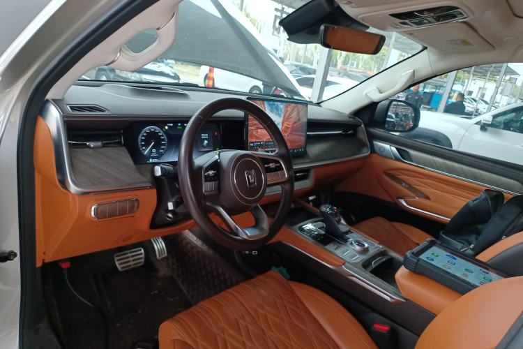 Used Tank 500 New Energy 2024 Hi4-T Center Console