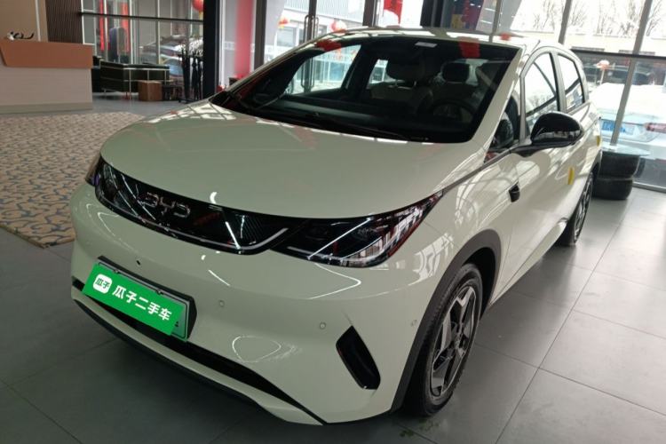 Used BYD Dolphin 2025 Smart Drive Version 420 km Freedom Edition
