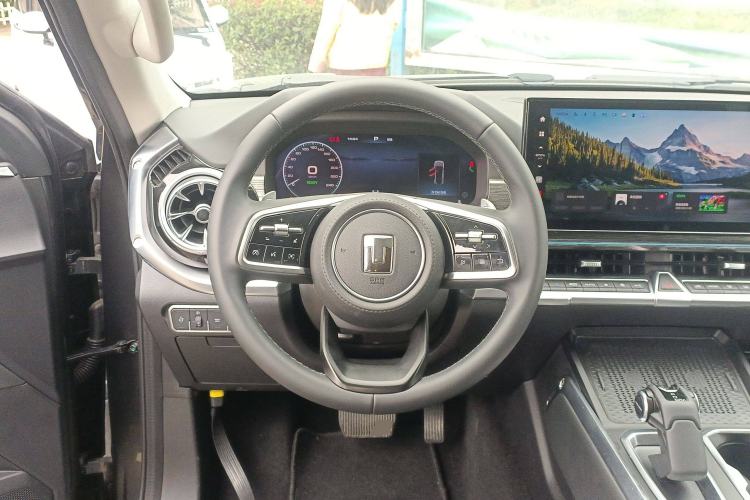 Used Tank 400 2025 2.0T Gasoline Version
