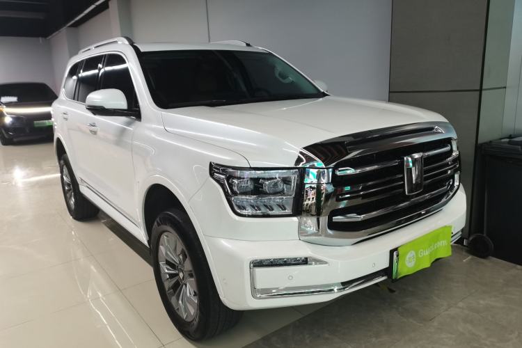 Used Tank 500 New Energy 2024 Hi4-T
