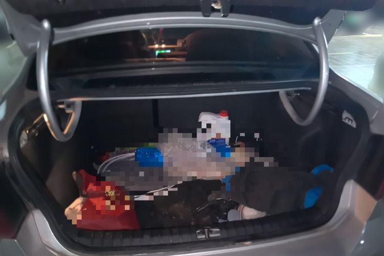 Used Volkswagen Bora 2014 1.6L Automatic Comfort Model Trunk