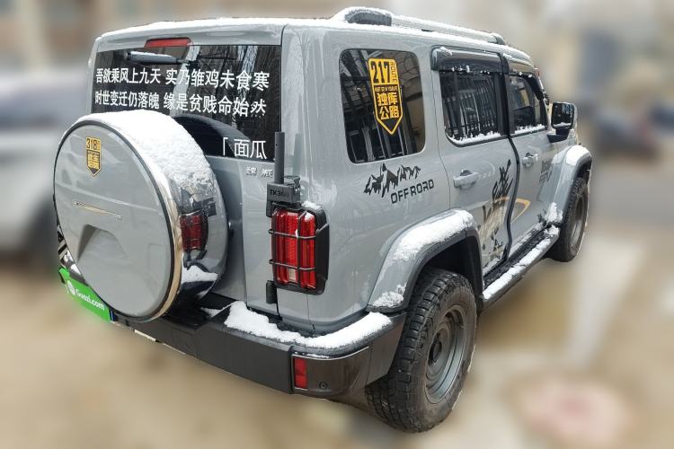 Used Tank 300 2023 City Edition 2.0T My Vision Model