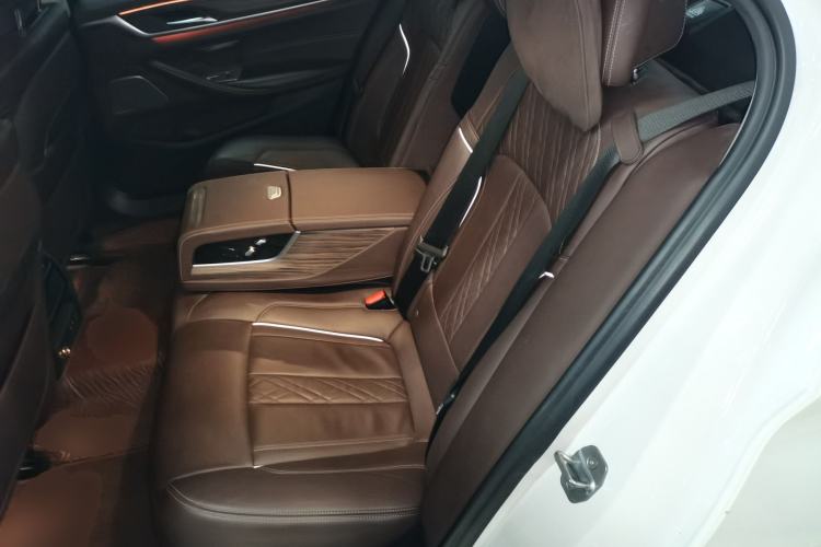 Used BMW 5 Series New Energy 2020 Mileage Upgrade Version 530Le Pioneer Edition