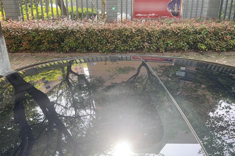 Used Tesla Model 3 2023 Rear-Wheel-Drive Version Roof