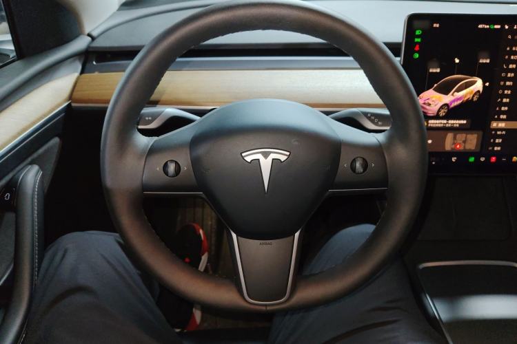 Used Tesla Model Y 2021 Long-Range All-Wheel-Drive Version
