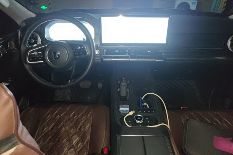 Used Tank 400 2025 2.0T Gasoline Version
