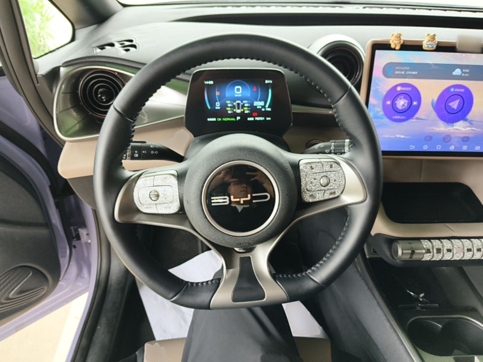 BYD Dolphin 2023 420 km Fashion Edition — снимка 13