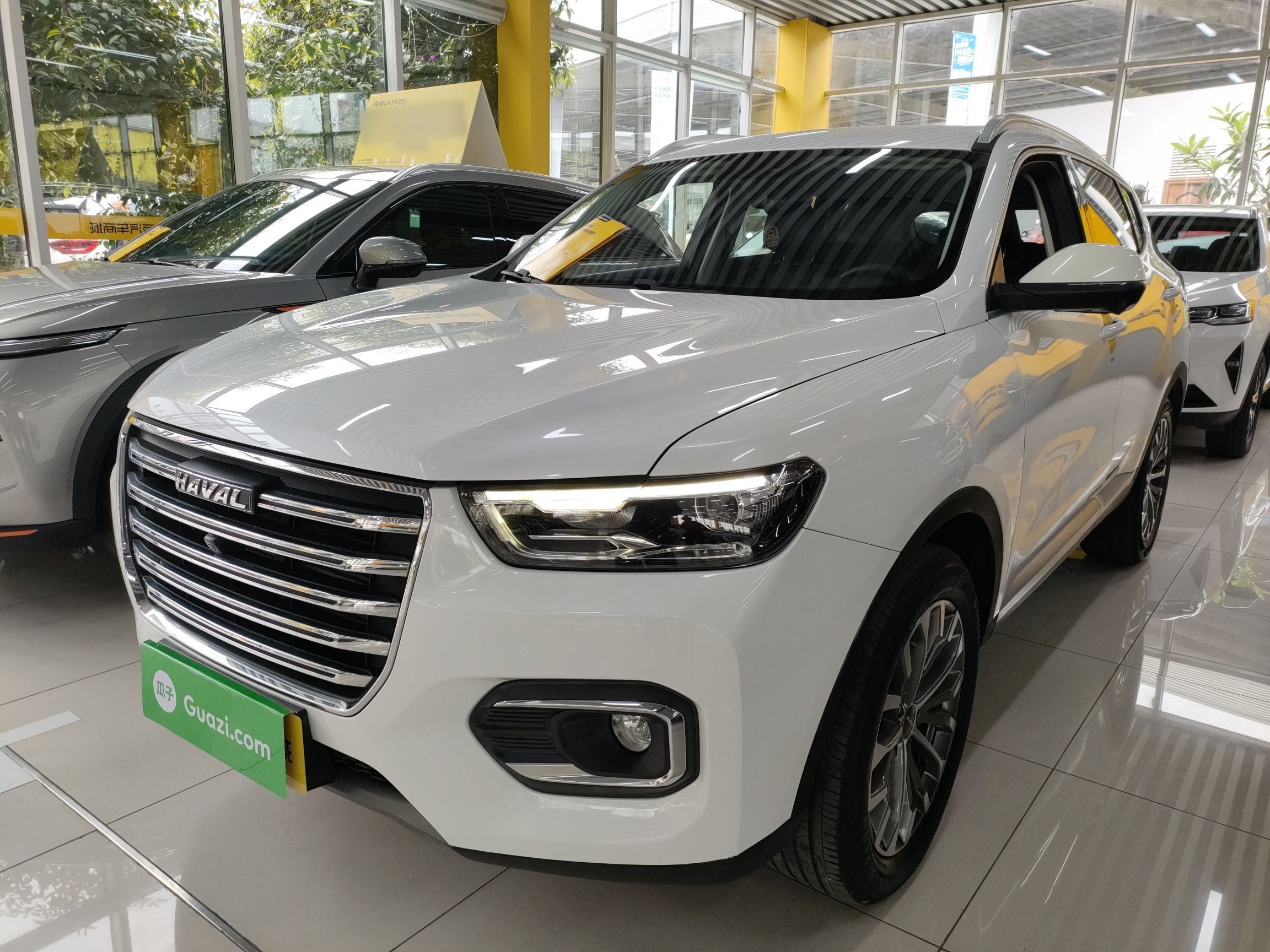 Parte inferior delantera