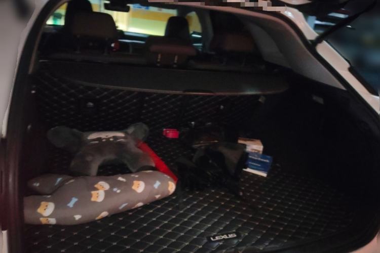 Used Lexus RX 2016 300 4x4 Elegant Edition China VI
