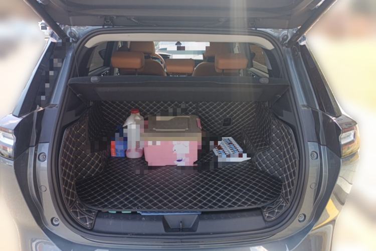 Used WM Motor W6 2021 520km ACE Advanced Intelligence Edition
