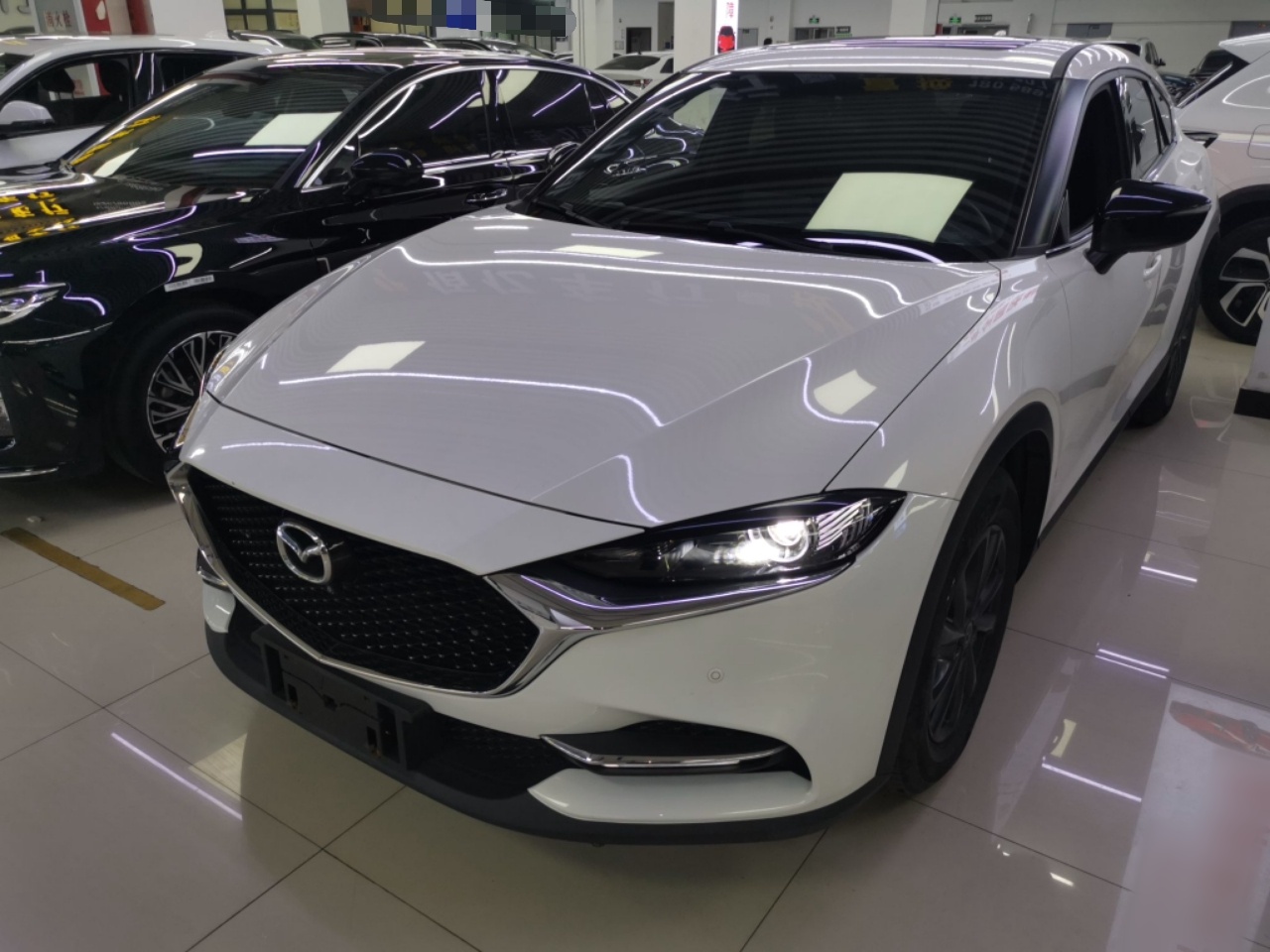 Parte inferior delantera